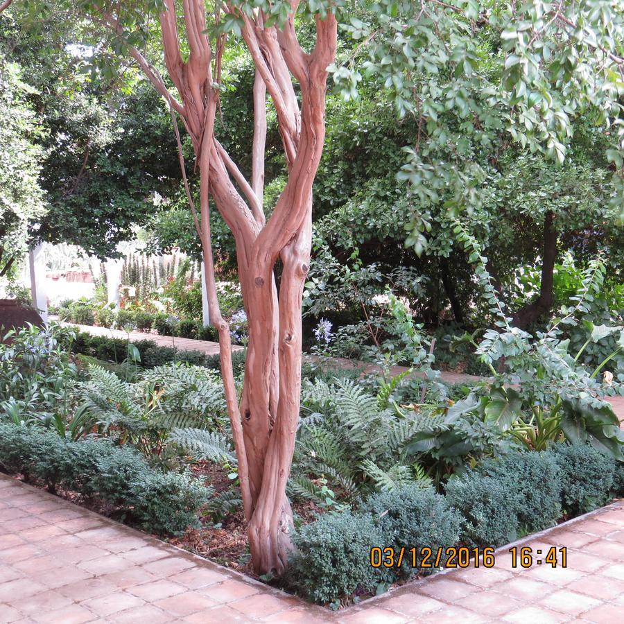 Hotel Boutique Quinta Maria Санта-Крус Екстер'єр фото