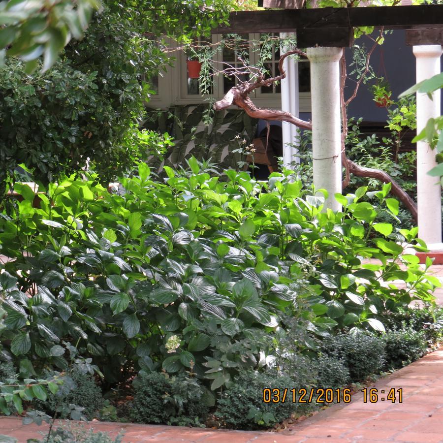 Hotel Boutique Quinta Maria Санта-Крус Екстер'єр фото