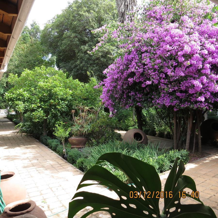 Hotel Boutique Quinta Maria Санта-Крус Екстер'єр фото