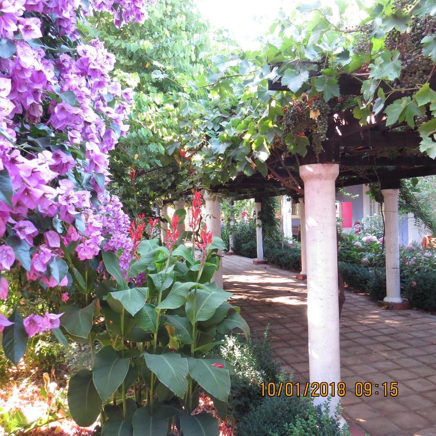 Hotel Boutique Quinta Maria Санта-Крус Екстер'єр фото