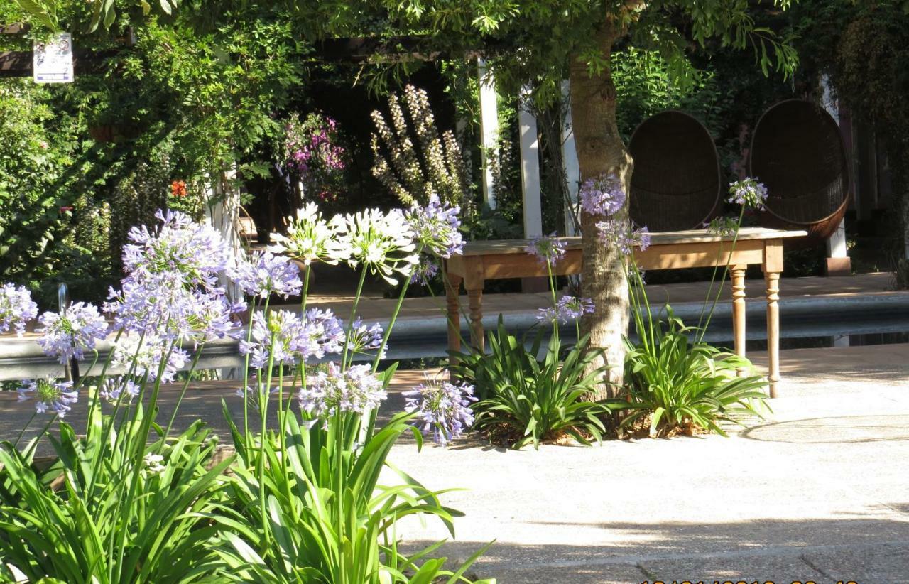 Hotel Boutique Quinta Maria Санта-Крус Екстер'єр фото