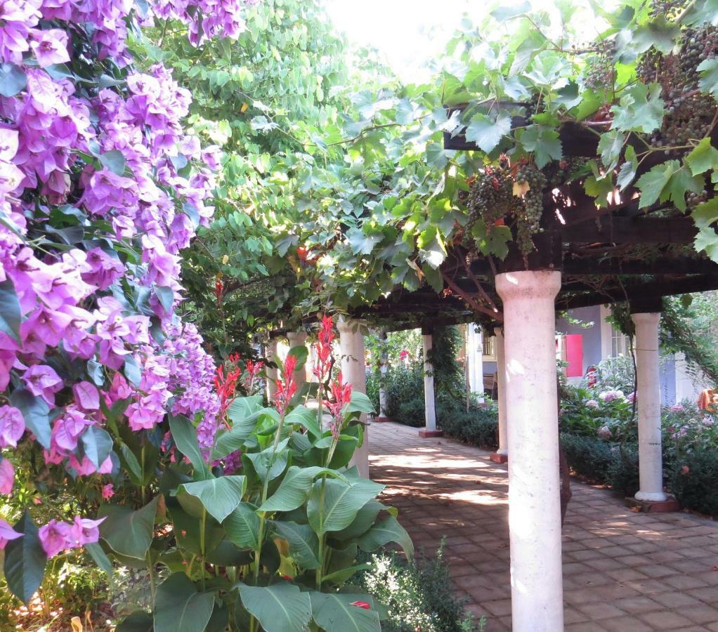 Hotel Boutique Quinta Maria Санта-Крус Екстер'єр фото