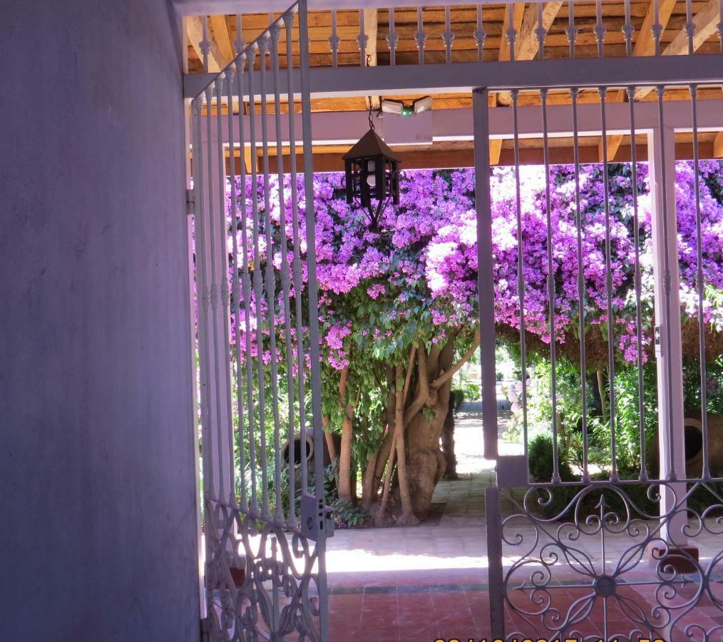 Hotel Boutique Quinta Maria Санта-Крус Екстер'єр фото